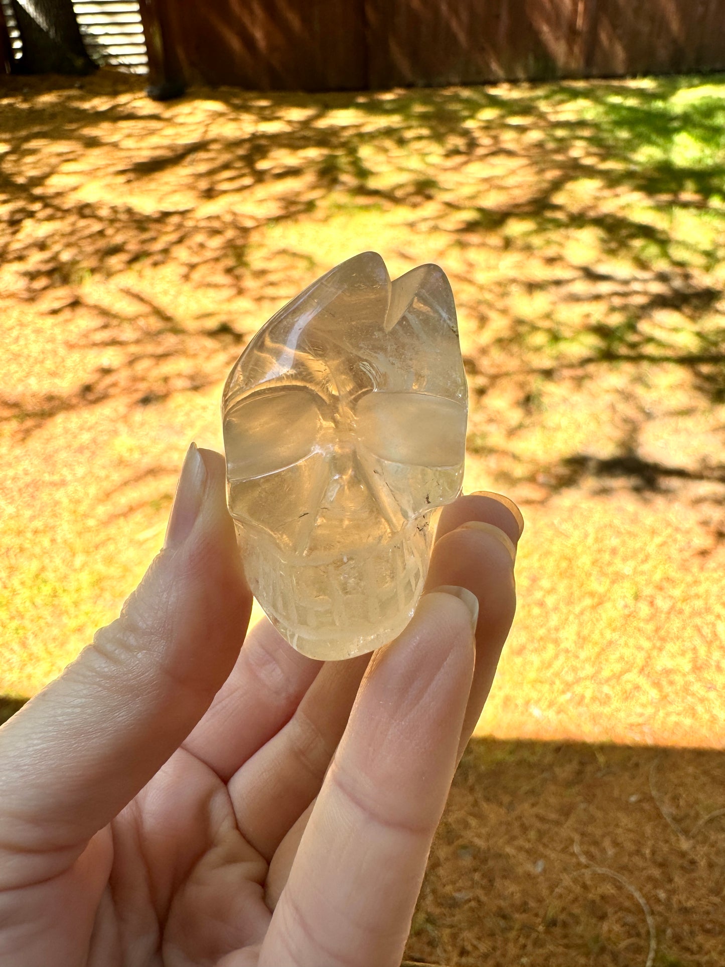 Natural Citrine Crazy Skull Carving - Natural Pale Citrine From Brazil